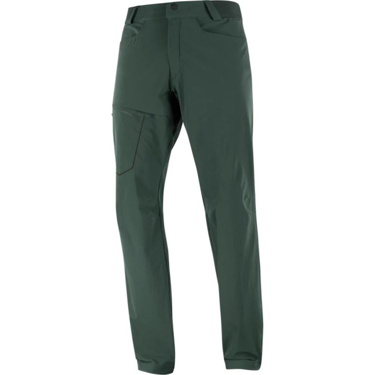 Green Salomon Wayfarer Men's Sport Pants | PH 79428R